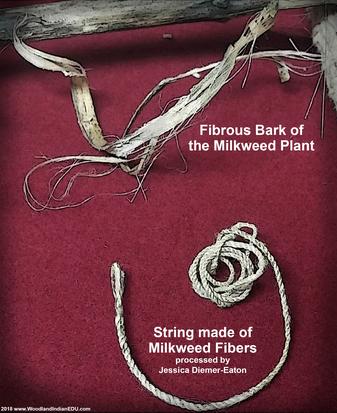 milkweed fibers cordage