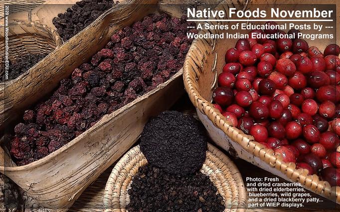 Native American foods berries