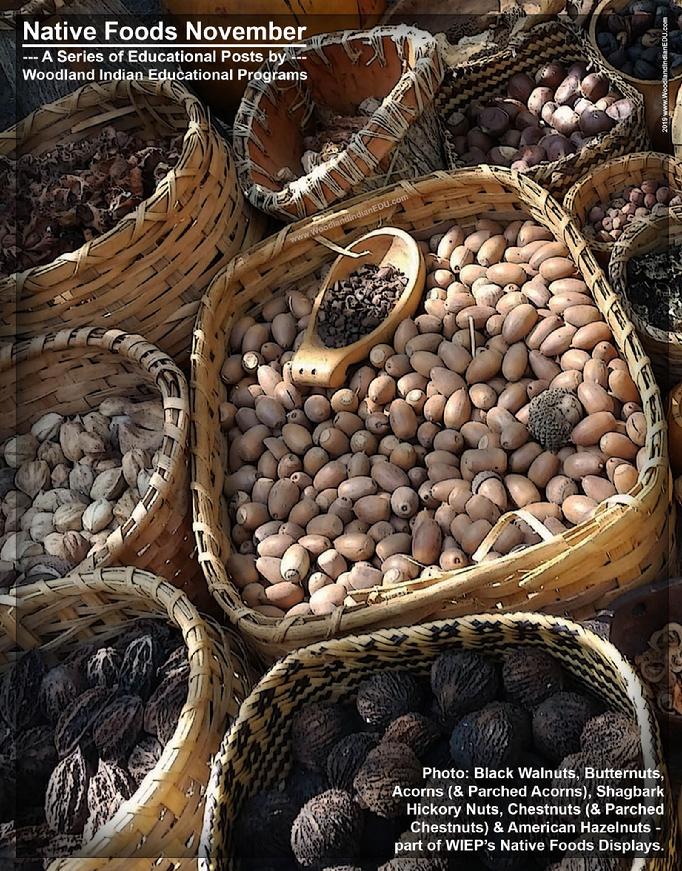 nut pecans walnuts chestnuts