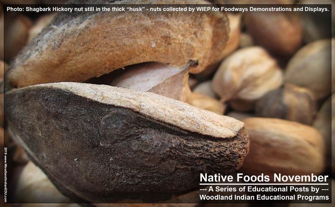 hickory nut milk Native American foods