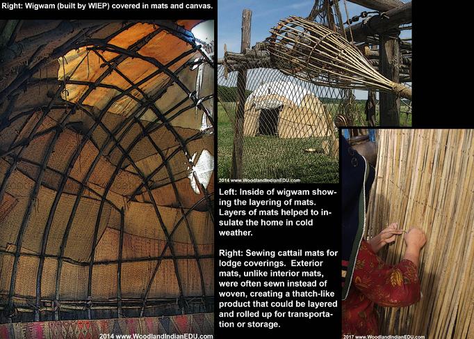 Native American Indian Woodland Bark Wigwam Wikiup Lodge How To Cattail Mats